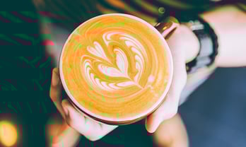 Watch misni sdedn nises